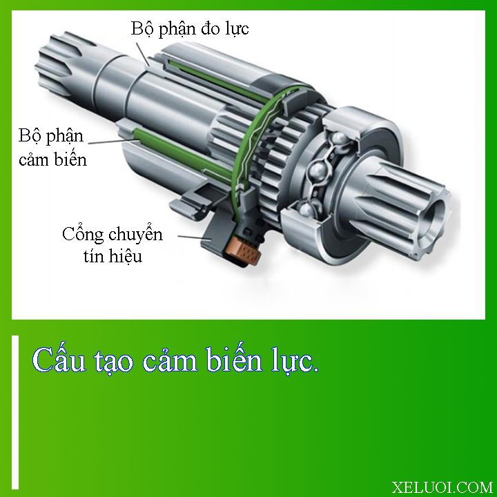 Cảm biến trên xe đạp trợ lực điện